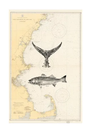 22x17 Custom Nautical Fish Prints (custom)