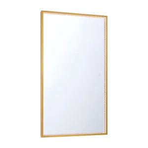 Cerissa 54 In. X 32 In. LED Wall Mirror Selectable CCT Gold Finish