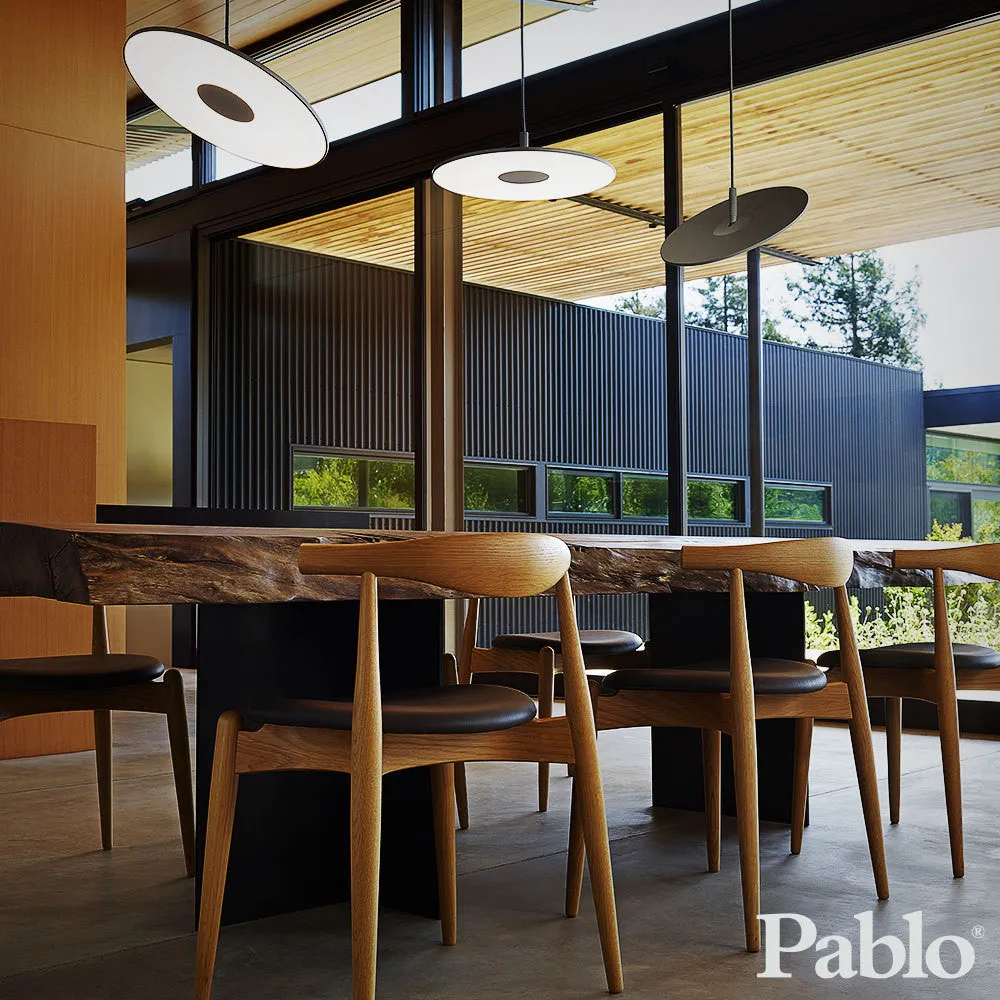 circa pendant lamp | Pablo