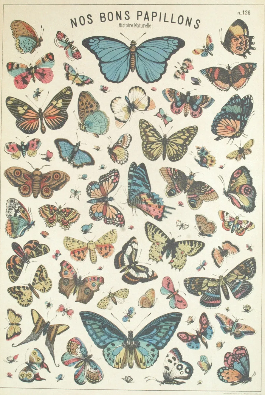 Florentine Print Butterfly Chart