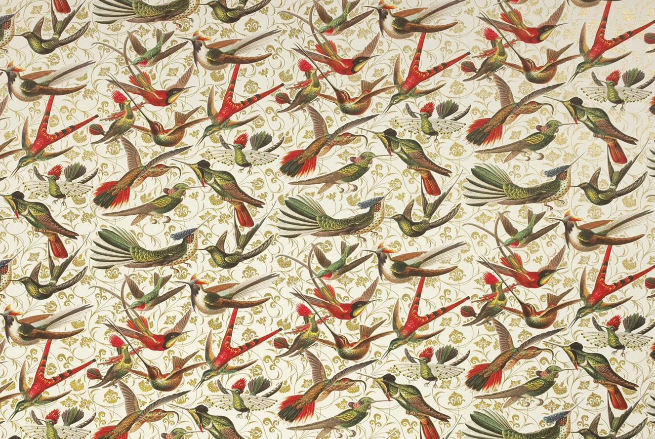 Florentine Print Humming Birds