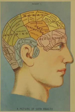 Florentine Print Phrenology