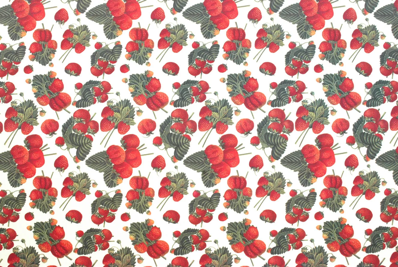 Florentine Print Strawberries